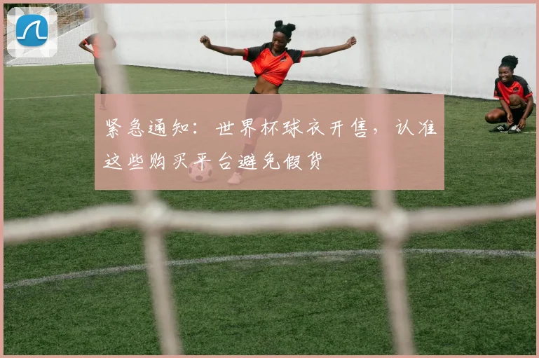 紧急通知：世界杯球衣开售，认准这些购买平台避免假货