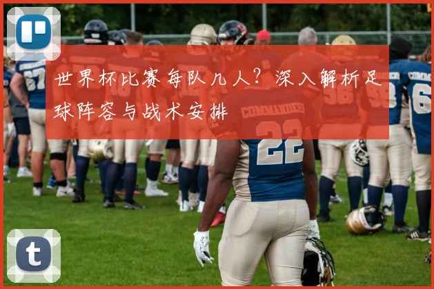 世界杯比赛每队几人？深入解析足球阵容与战术安排