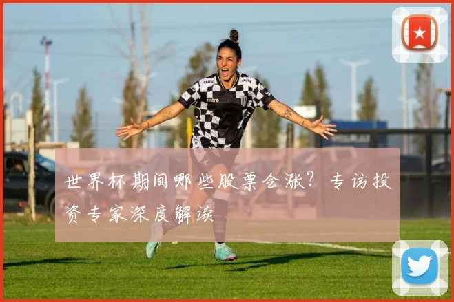 世界杯期间哪些股票会涨？专访投资专家深度解读