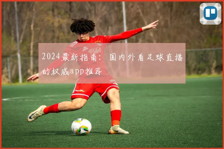 2024最新指南：国内外看足球直播的权威app推荐
